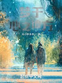 梦于心之彼方封面