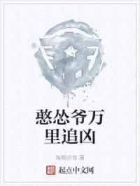 憨怂爷万里追凶封面