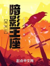 海贼之暗影王座封面