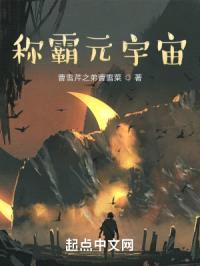 称霸元宇宙封面