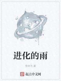 进化的雨封面