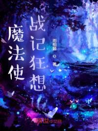 魔法使的战记狂想封面