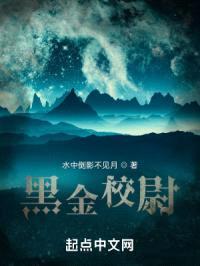 黑金校尉封面