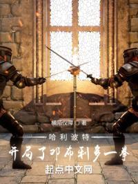 哈利波特：开局了邓布利多一拳封面