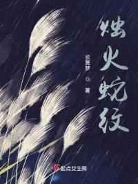 烛火蛇纹封面