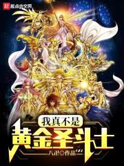 我真不是黄金圣斗士封面