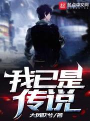 我已是传说封面