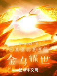 从墓综世界开始：金乌耀世封面