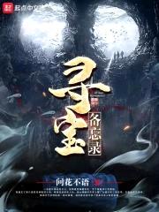 寻宝备忘录封面