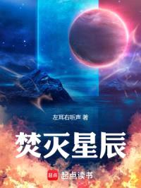 焚灭星辰封面