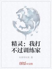 精灵：我打不过训练家封面