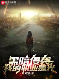 黑暗侵袭，我的职业是光封面