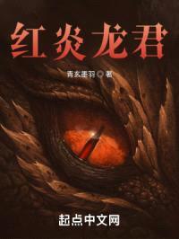 红炎君主封面