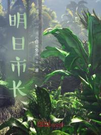 明日市长封面