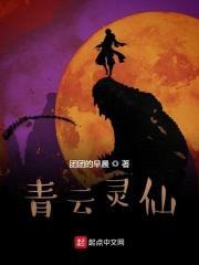 青云灵仙封面