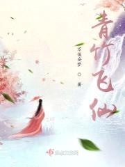 青竹飞仙封面