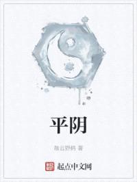 平阴封面