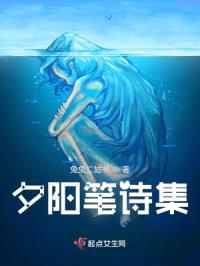 夕阳笔诗集封面