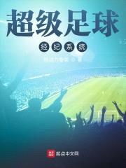 超级足球经纪系统封面