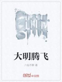 大明腾飞封面
