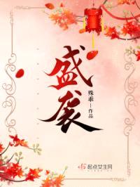 盛袭封面