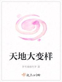天地大变样封面