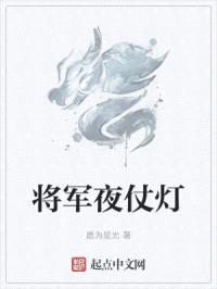 将军夜仗灯封面