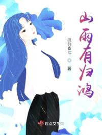 山雨有归鸿封面