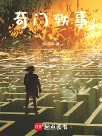奇门轶事封面