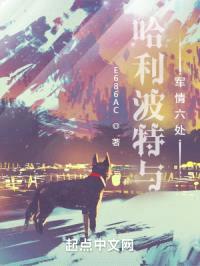 哈利波特与军情六处封面