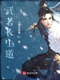 武者长生道封面