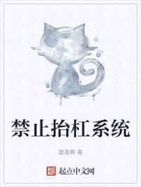 禁止抬杠系统封面