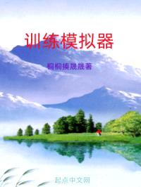 训练模拟器封面