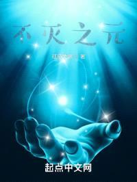 不灭之元封面