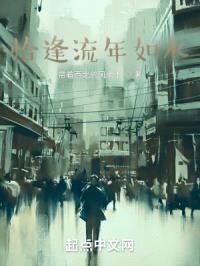 恰逢流年如水封面