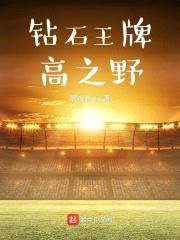 钻石王牌高之野封面
