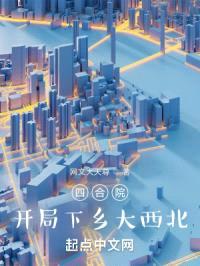 四合院：开局下乡大西北封面