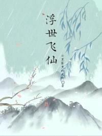 浮世飞仙封面