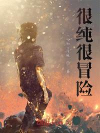 很纯很冒险封面