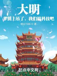 大明：爹别上吊了，我们搞科技吧封面