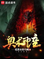 奥术神座封面