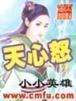天心怒封面