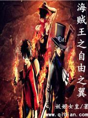 海贼王之自由之翼封面